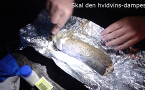 35_skal_den_hvidvinsdampes